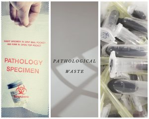 Pathological specimens