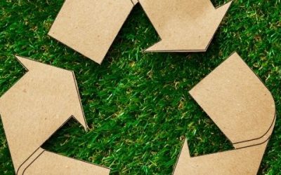 lightbulbs batteries on grass with recycle sign